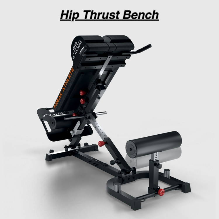 A Comprehensive Guide To Hip Extension Machines and Knee Exercise